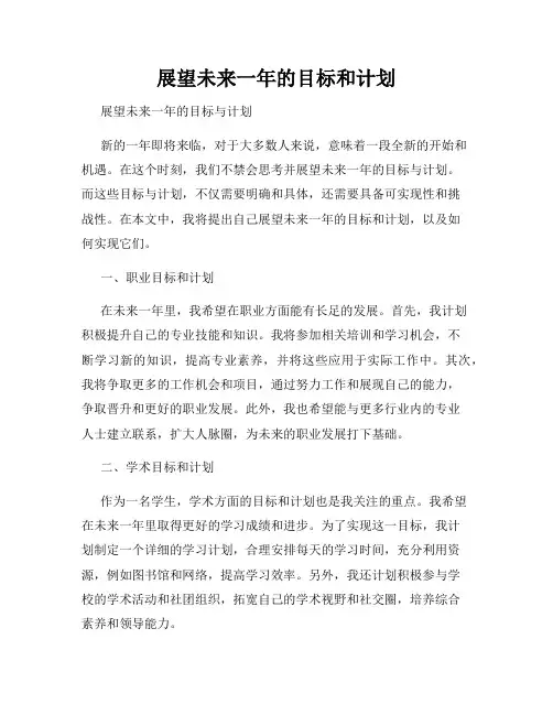 展望未来一年的目标和计划