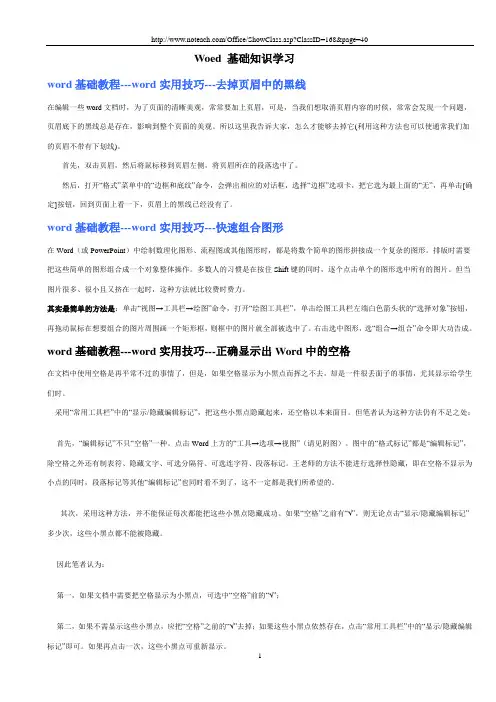 Word  基础知识学习