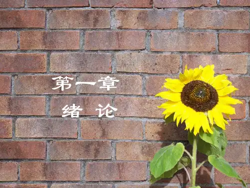 体育教学论 第一章 绪论