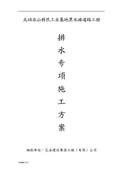 排水管网专项工程施工组织设计方案
