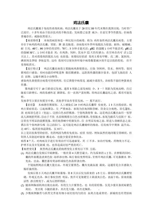 鸡法氏囊