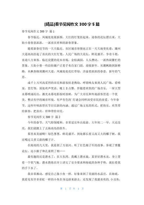 [精品]春节见闻作文300字5篇