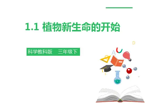 教科版三年级科学下册 (植物新生命的开始)植物的生长变化课件