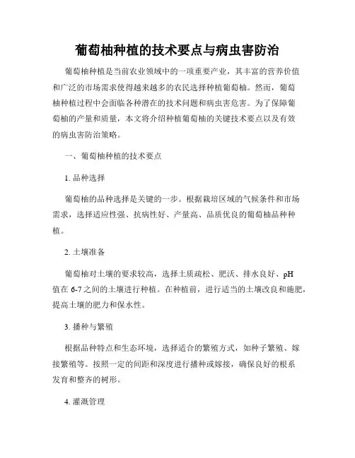 葡萄柚种植的技术要点与病虫害防治