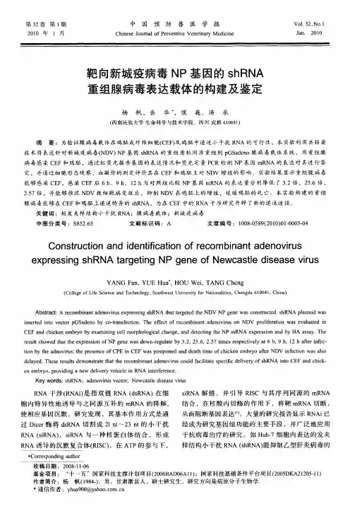 靶向新城疫病毒NP基因的shRNA重组腺病毒表达载体的构建及鉴定