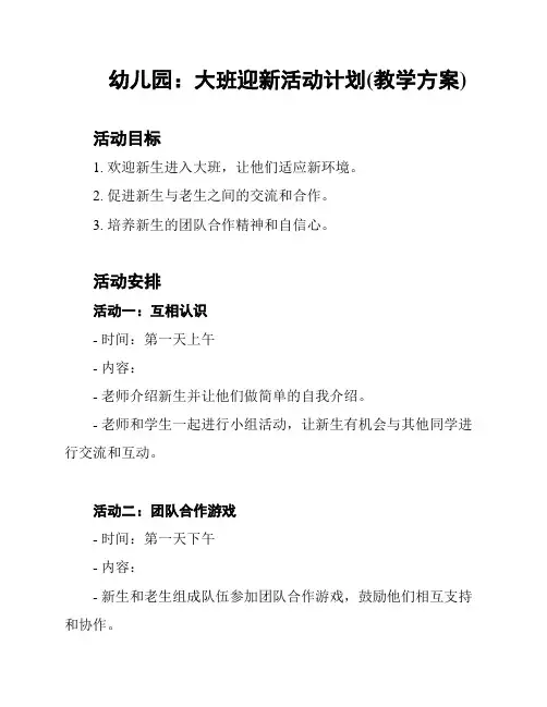 幼儿园：大班迎新活动计划(教学方案)