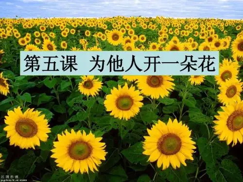 七年级思想品德第五课为他人开一朵花整课上课课件