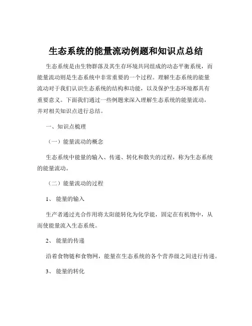 生态系统的能量流动例题和知识点总结