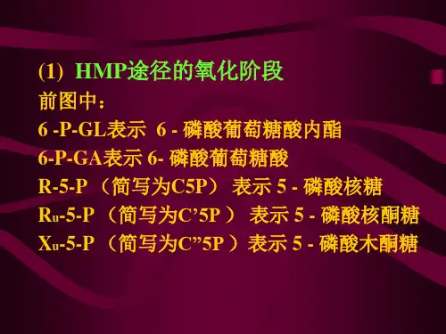 第三章发酵学第二假说E