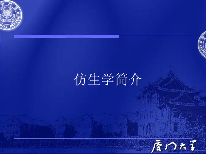 【生物课件】仿生学资料精