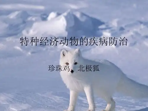 特种经济动物的养殖