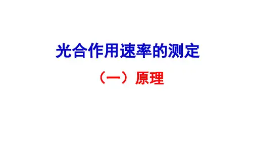 光合速率的测定