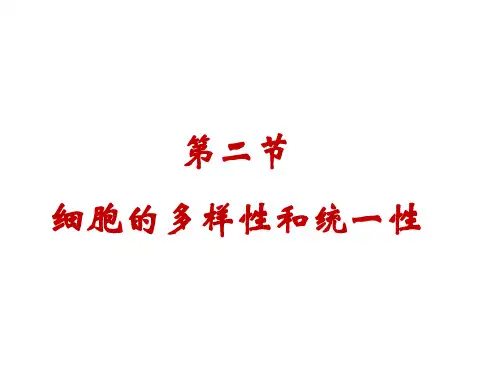 高中生物课件  高倍显微镜使用