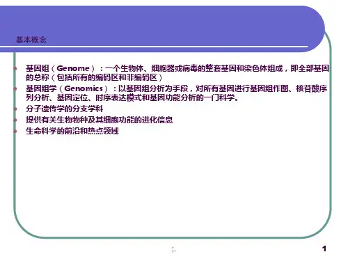 基因组学  .遗传作图 3 物理图ppt课件