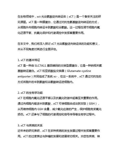 xct 光谷氨酸逆向转运体 英语