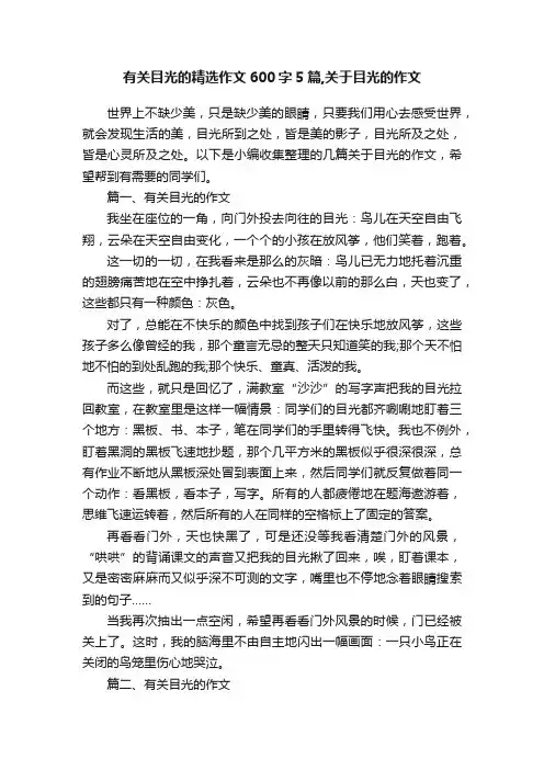 有关目光的精选作文600字5篇,关于目光的作文
