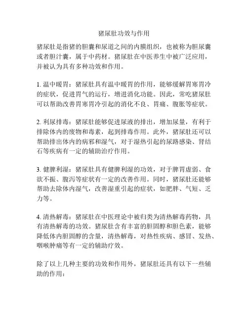 猪尿肚功效与作用