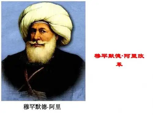 穆罕默德·阿里改革
