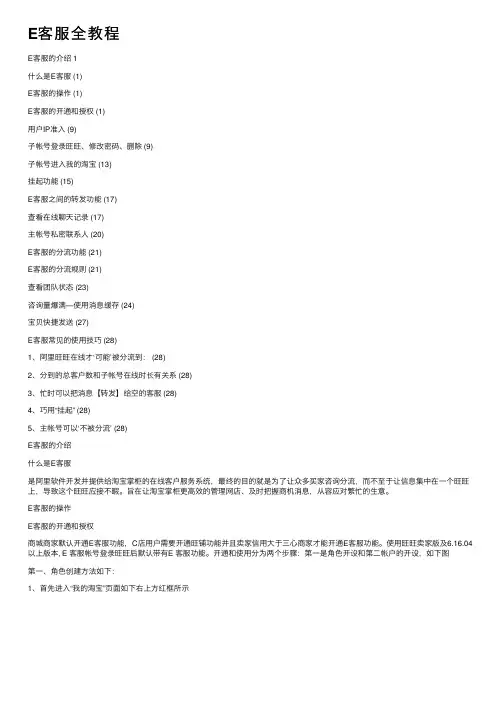 E客服全教程