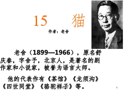 人教版四年级语文上册老舍-猫-优秀1ppt课件