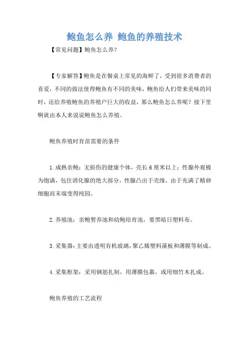 鲍鱼怎么养 鲍鱼的养殖技术
