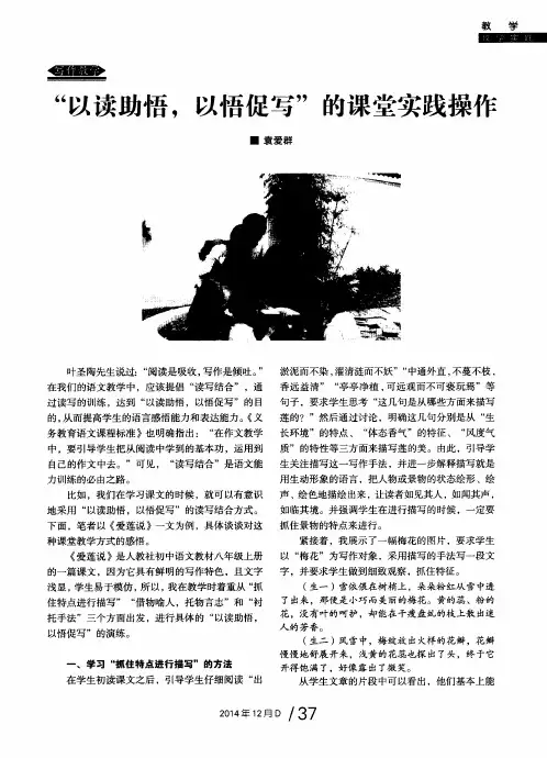 “以读助悟,以悟促写”的课堂实践操作