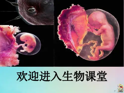 高一1.1《细胞是生命活动的基本单位》(共42张PPT)