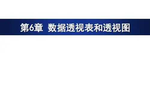 Excel数据处理与分析第6章
