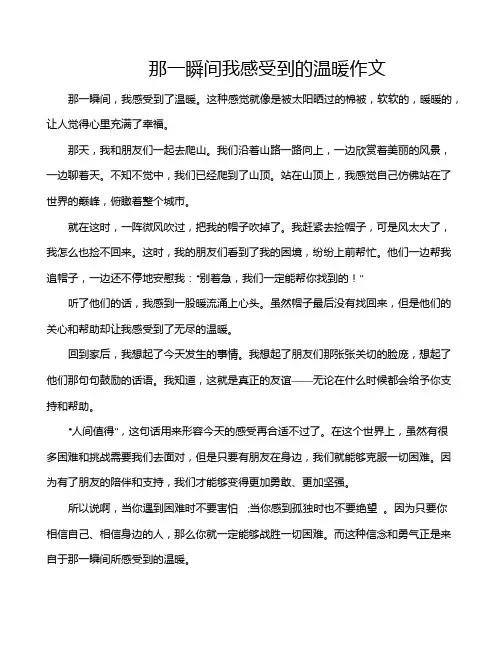 那一瞬间我感受到的温暖作文