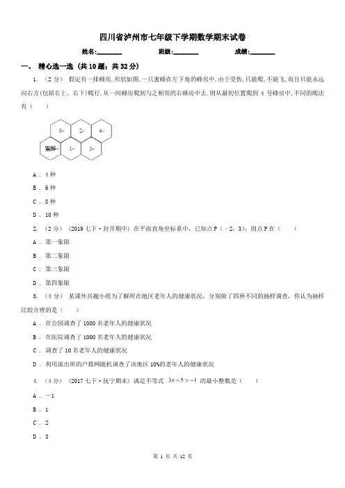 四川省泸州市七年级下学期数学期末试卷