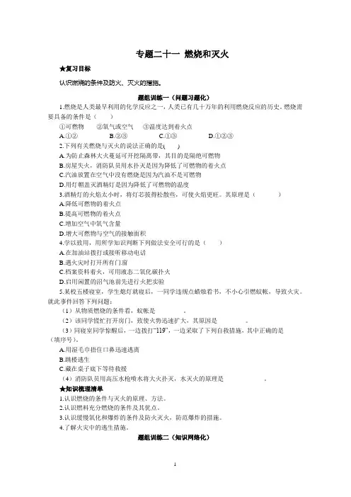 中考化学   专题  燃烧与灭火