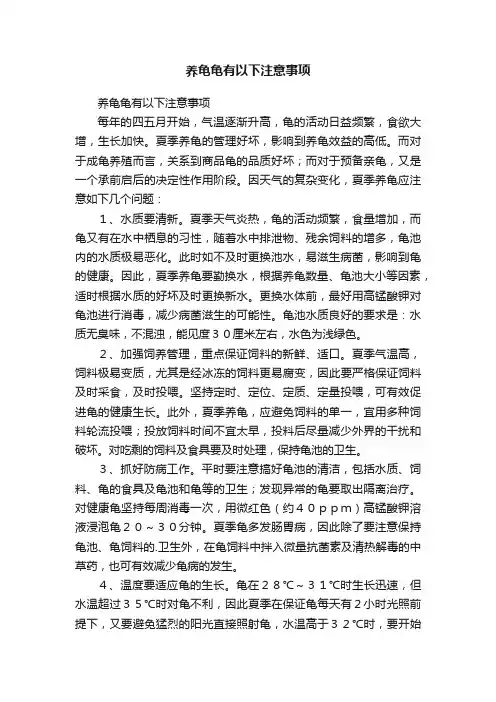 养龟龟有以下注意事项