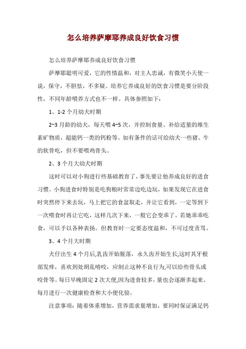 怎么培养萨摩耶养成良好饮食习惯