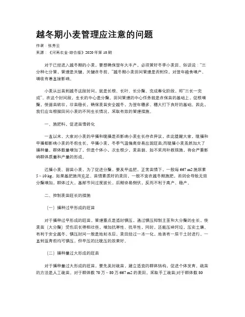 越冬期小麦管理应注意的问题 