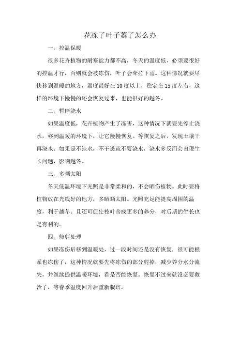 花冻了叶子蔫了怎么办