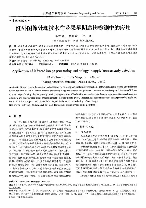 红外图像处理技术在苹果早期淤伤检测中的应用
