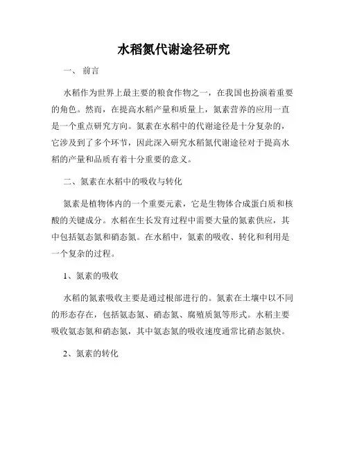 水稻氮代谢途径研究