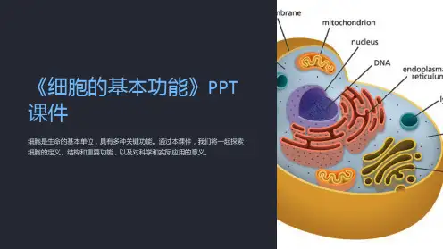 《细胞的基本功能》课件