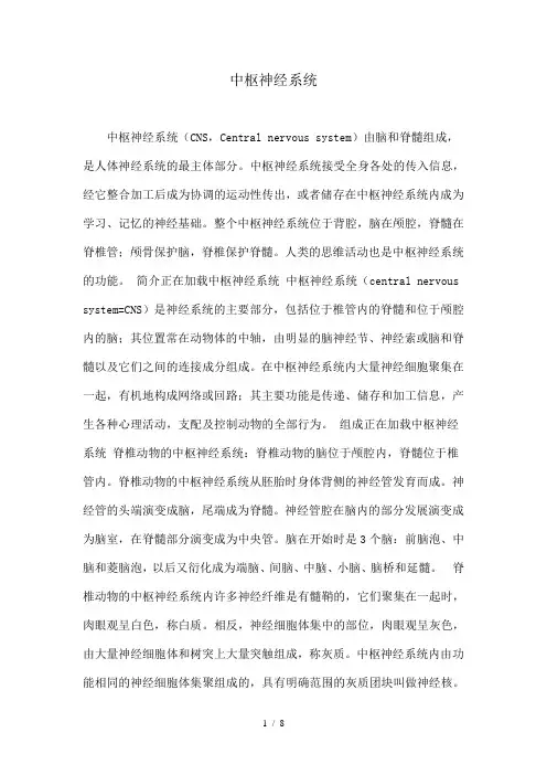 中枢神经系统
