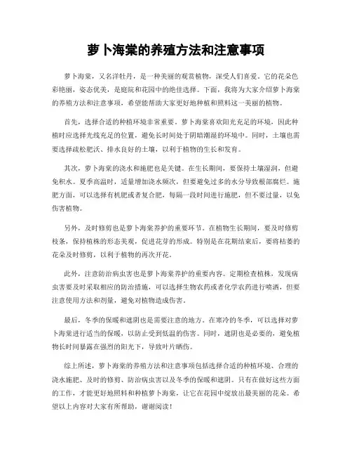 萝卜海棠的养殖方法和注意事项