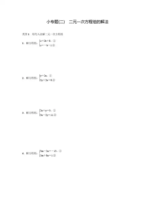 人教版七年级数学下册名校课堂小专题(二)二元一次方程组的解法(含答案)