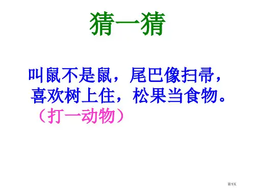 六年级上册语文-22课跑进家来的松鼠-人教新课标市公开课金奖市赛课一等奖课件
