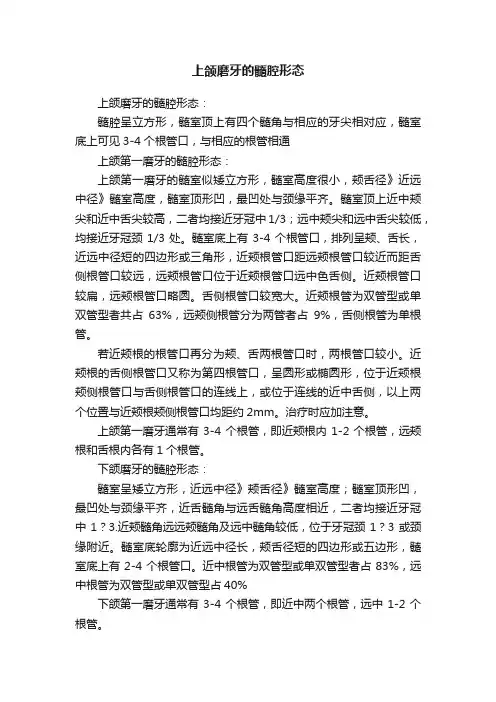 上颌磨牙的髓腔形态