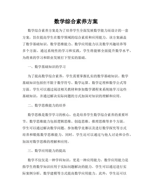 数学综合素养方案