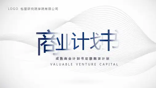 简约通用全行业商业融资计划书PPT模板