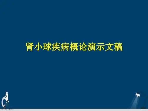 肾小球疾病概论演示文稿