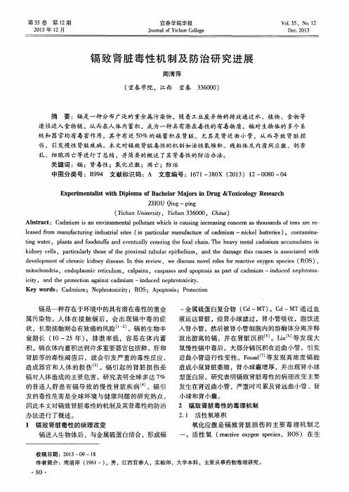 镉致肾脏毒性机制及防治研究进展