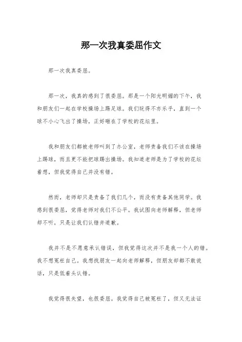 那一次我真委屈作文