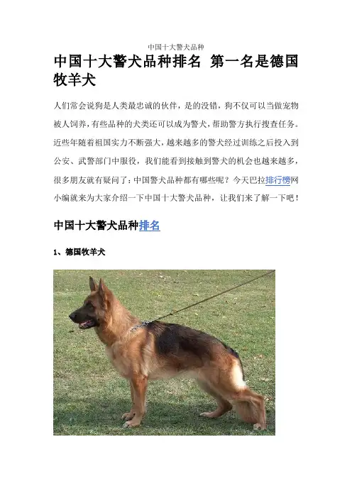 中国十大警犬品种