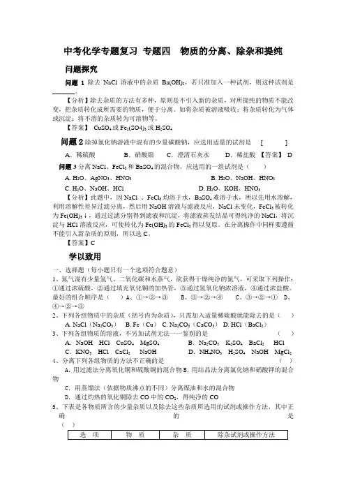 中考化学专题复习 专题四  物质的分离、除杂和提纯(附参考答案)